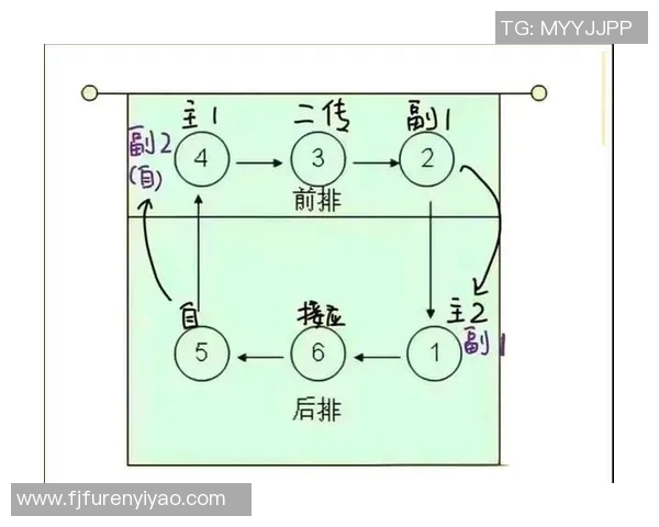 科学排球训练方法提升个人能力的全面指南